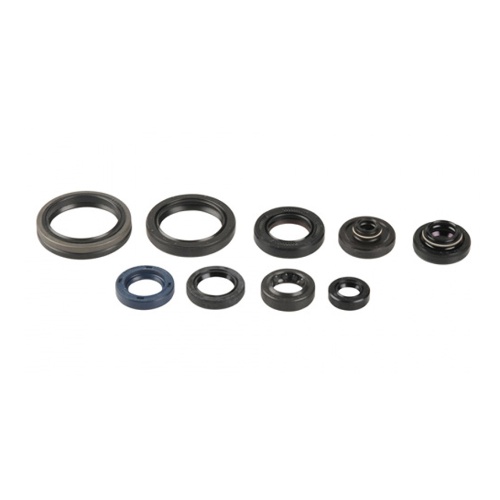 Engine Seal Set NRTeam HM 125 Rotax (08-15) GK4001OS