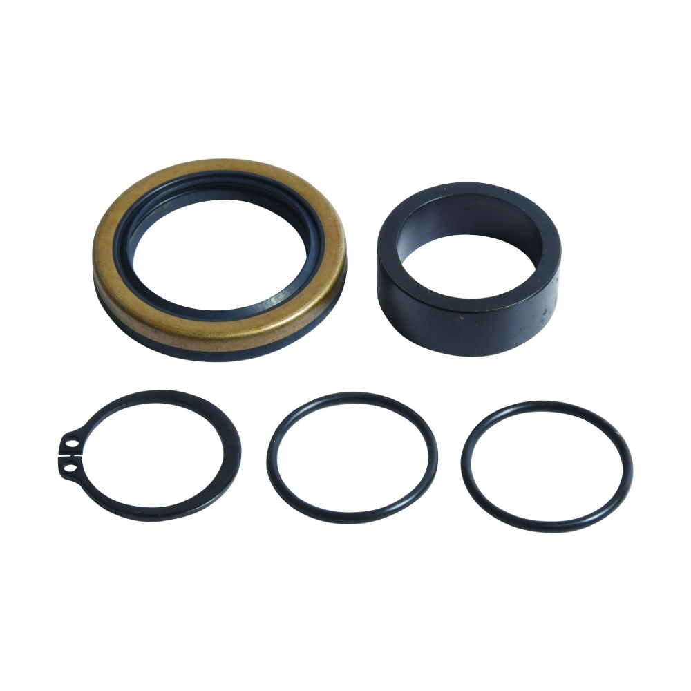 Countershaft Seal Beta RR 250 (13-25) AB-25-4047
