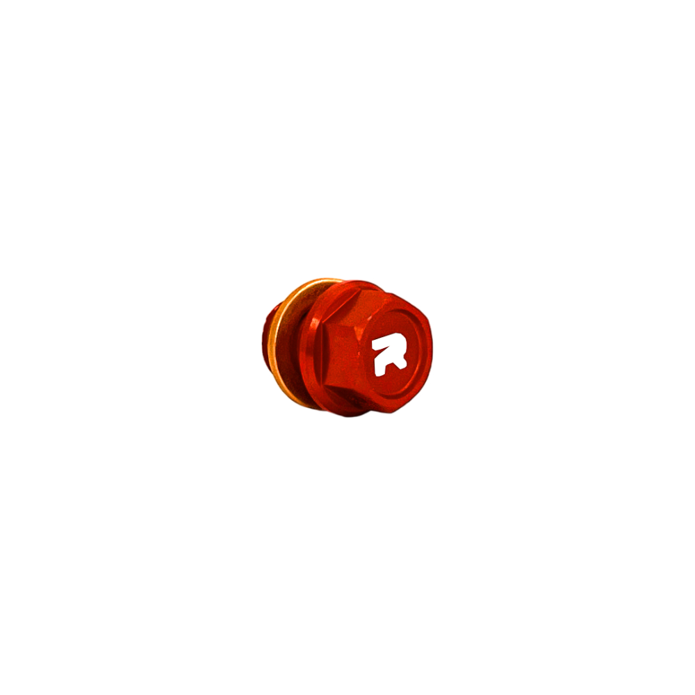 DS89.1007R
