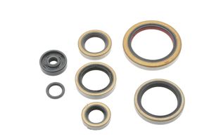 Engine Seal Set NRTeam KTM 250 EXC (00-03) GK8011OS
