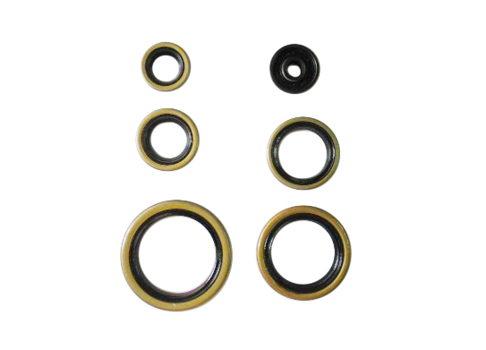 Engine Seal Set NRTeam Husqvarna 250 TC (14-16) GK8012OS